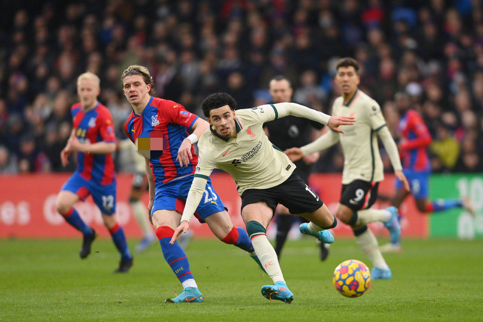 它们分别是 它们分别是