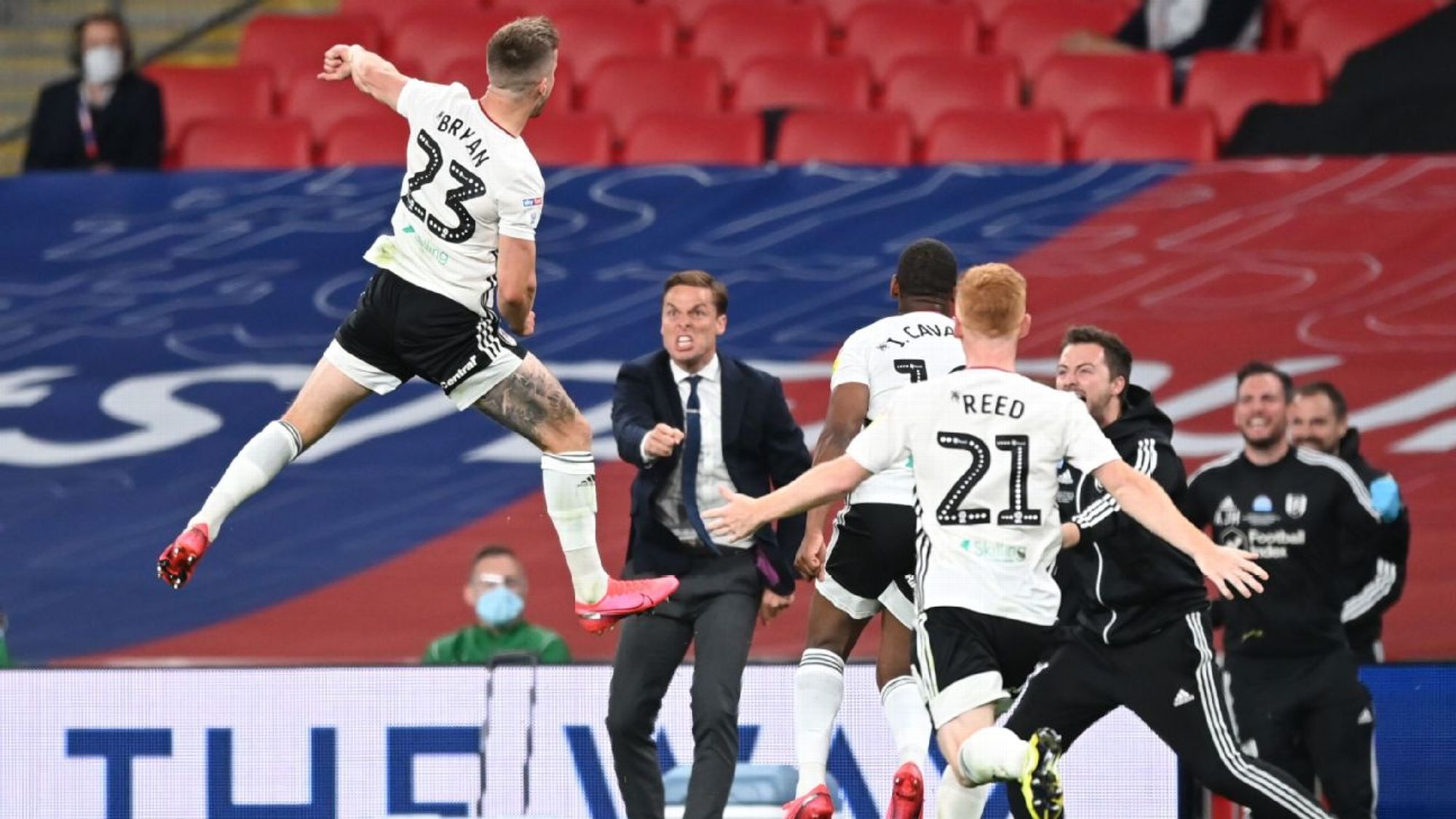 供了更广阔 供了更广阔